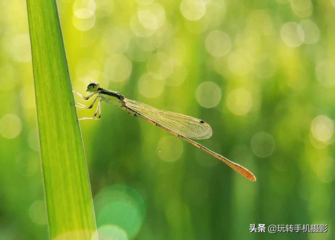 五月给你点“颜色”瞧瞧！照片想出圈，这样拍就对了