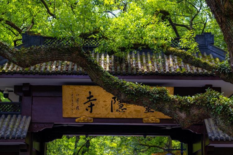 杭州旅游团六日游攻略大全,杭州旅游六天报团