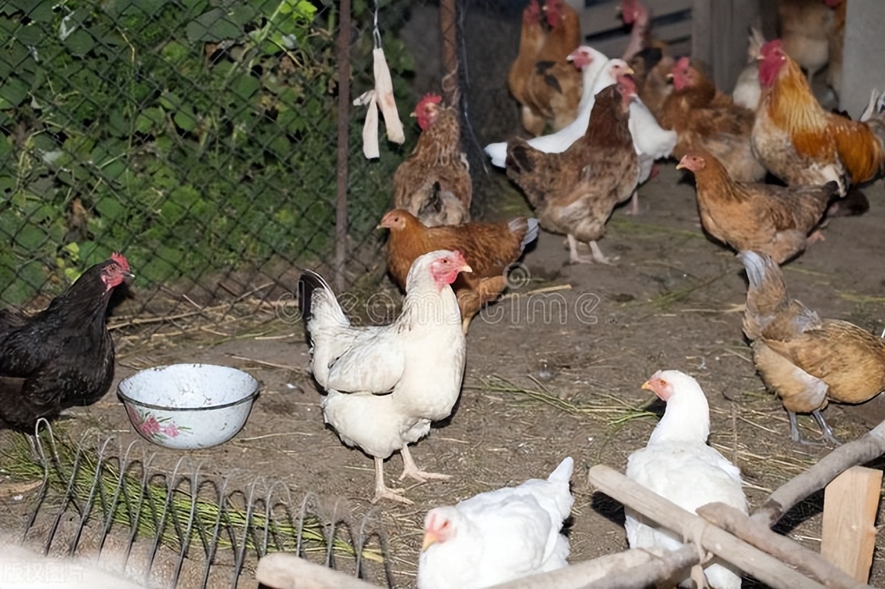 励志创业富婆,白手起家百万富翁励志视频