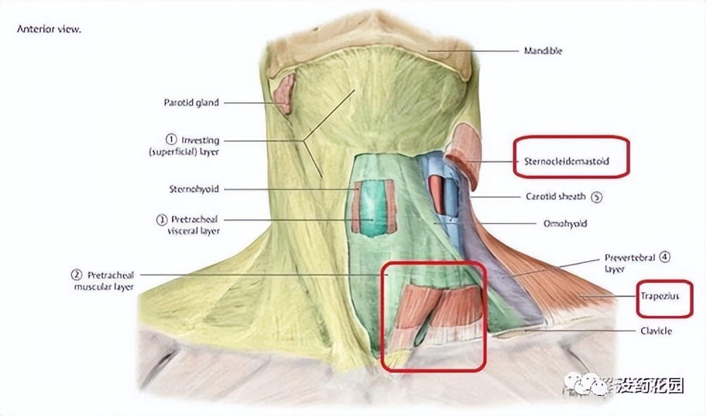胡鑫宇事件最新通报自缢死亡,胡鑫宇死亡案真相