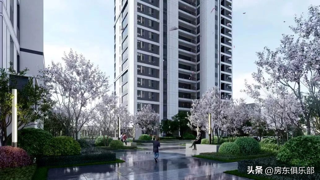 买金水北还是鸿园,买六味地黄丸的人