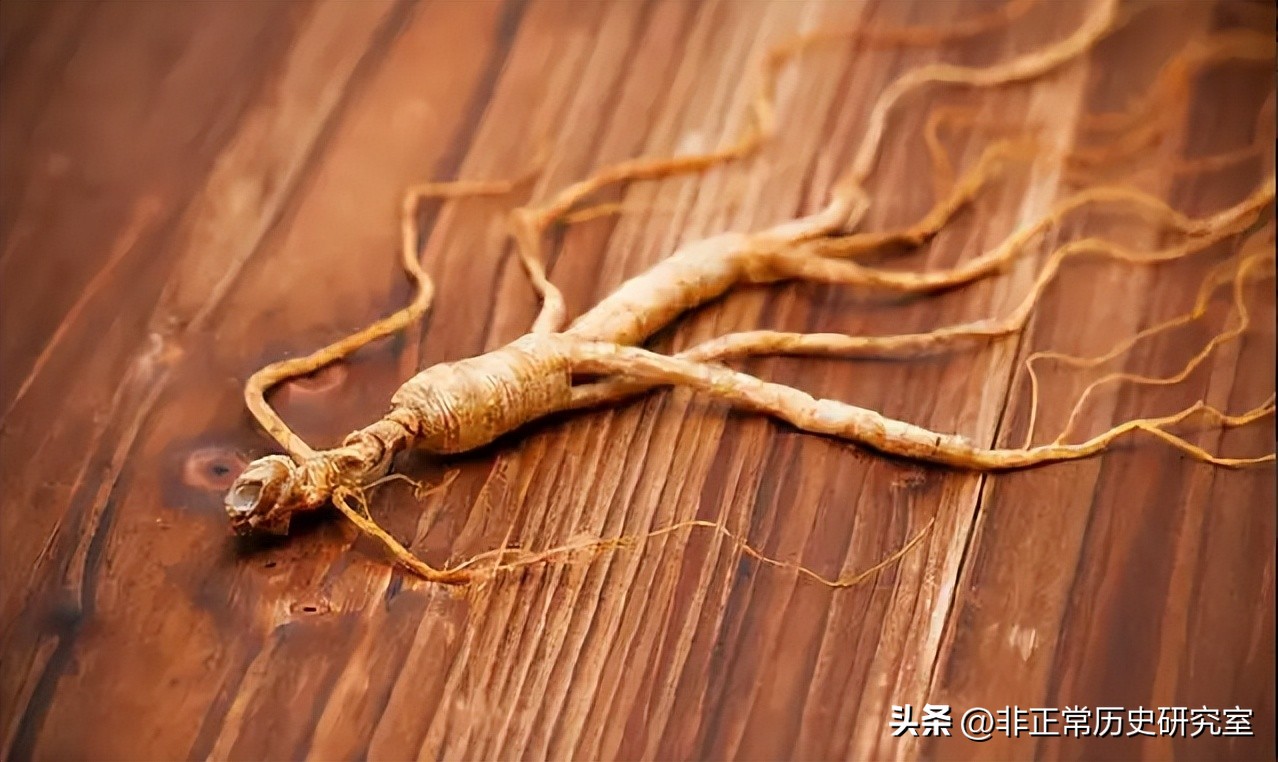 1718年法国一艘货船和清朝贸易，彻底改变了中国用人参的历史