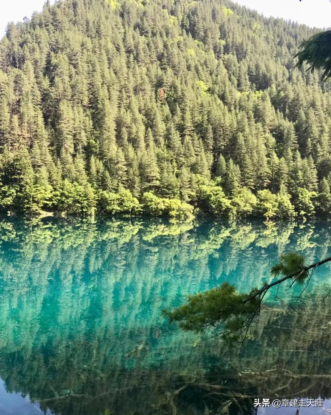去九寨沟的细节建议,九寨沟坐观光车建议