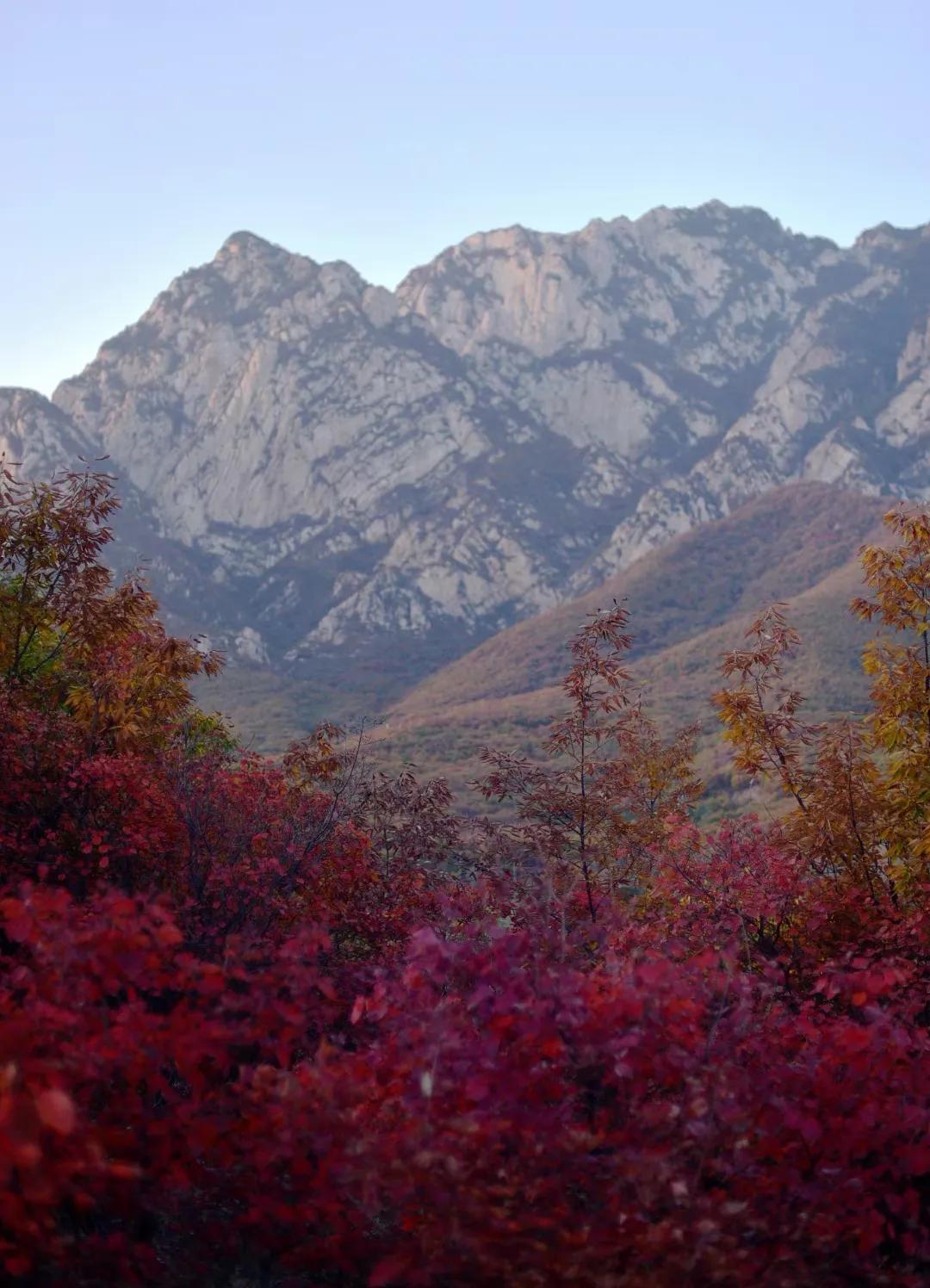 五伦关系的父子包括哪些方面,五伦关系中的父子之伦的含义