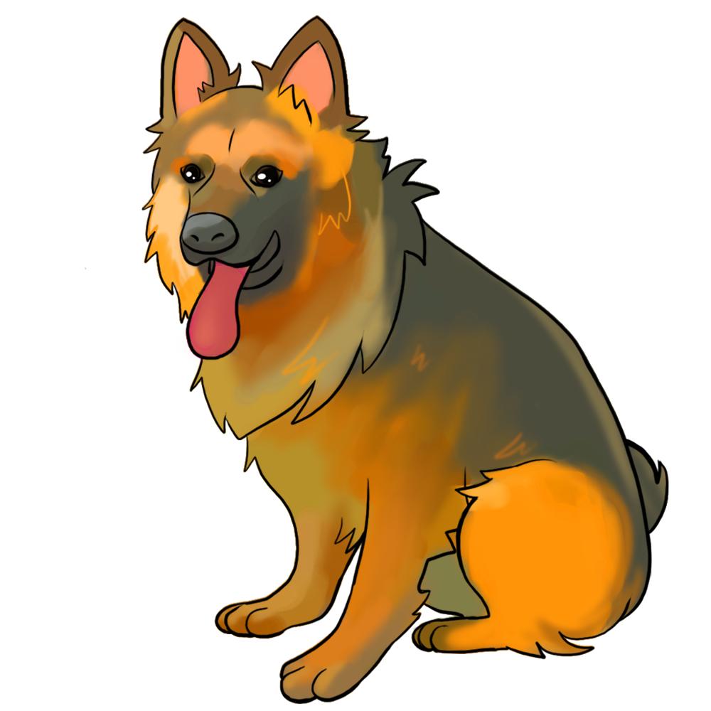 家养的狗咬伤别人怎么赔偿,收养遗弃的狗被咬谁负责