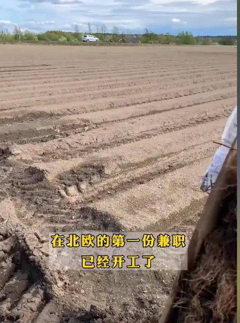 学习挪威语去挪威生活定居,中国人远嫁挪威受欢迎吗