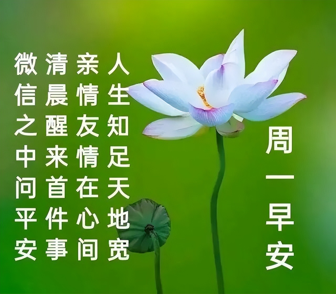 清晨开心幸福问候表情图片,早上好祝你天天开心表情图片