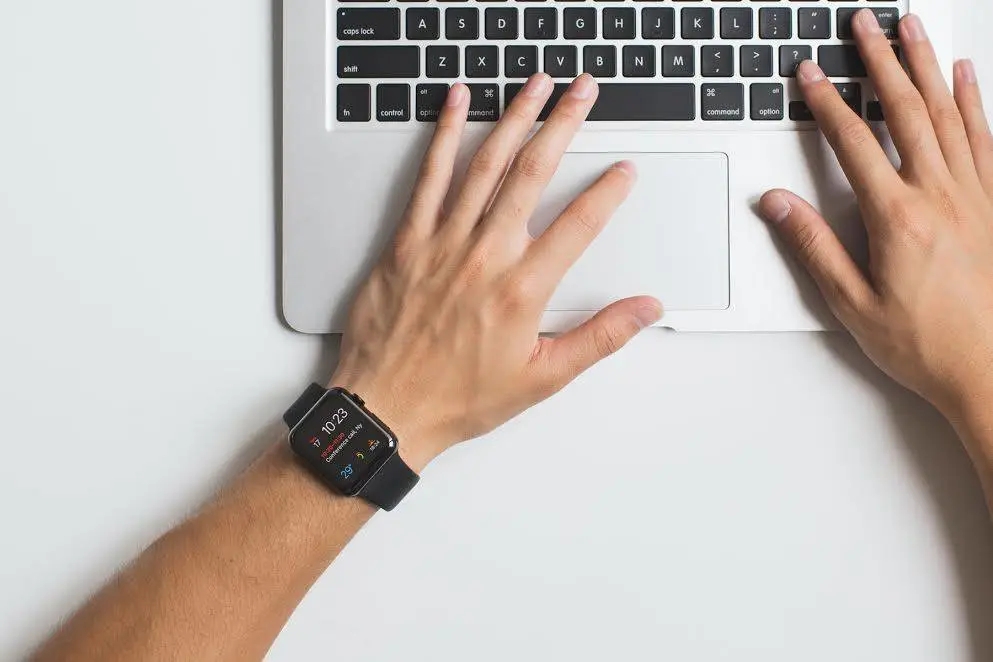 中秋好物爆款榜 (中秋好物推荐分享)