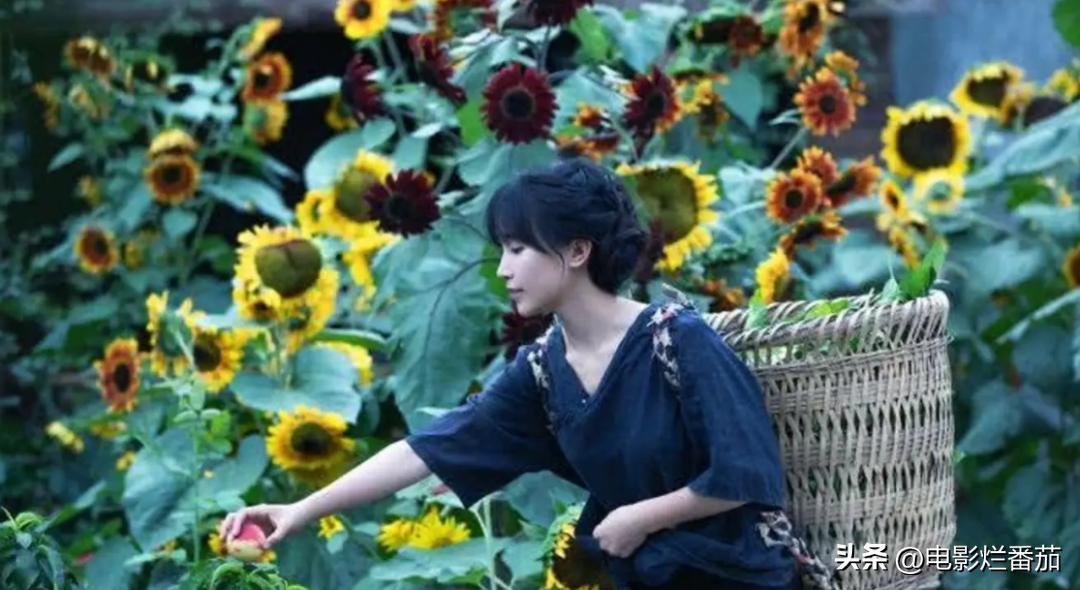 国产剧杀入国外市场的背后,国剧出海