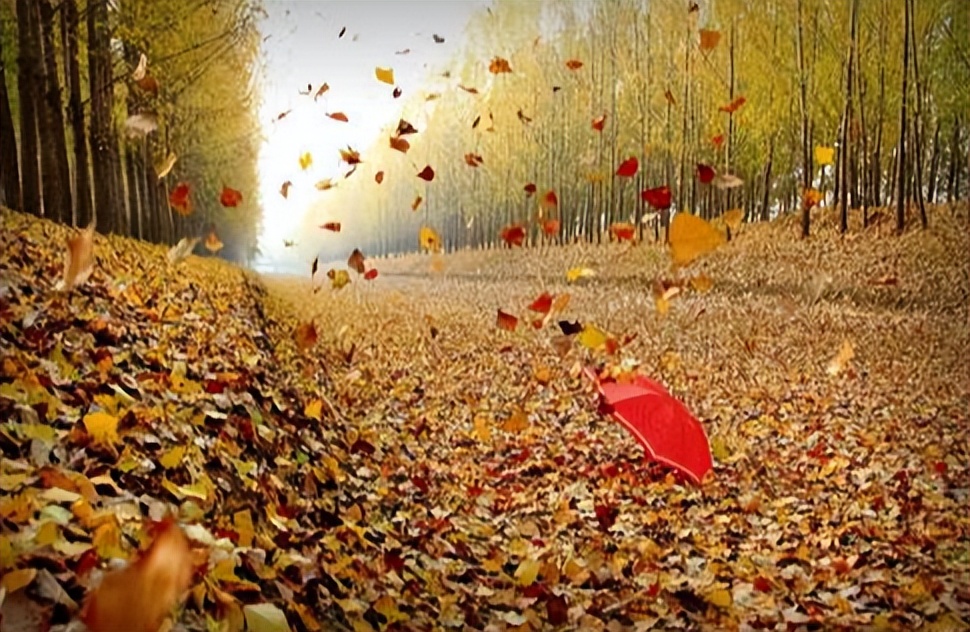 10句描写愁的诗句,十句写出诗人愁的诗句