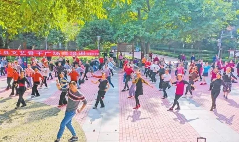 中国县城的现状,县城婆罗门