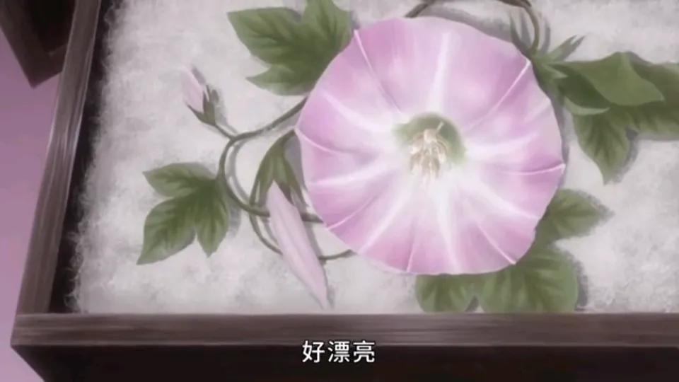 少女被寄生虫寄生成为虫族公主,女孩被寄生虫寄生六亲不认