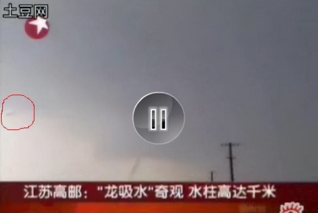 真龙事件报道,2016真龙事件报道