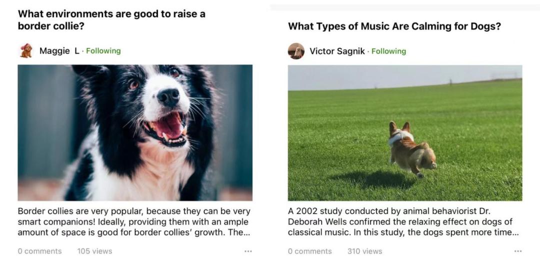 在北美，狗比人还“卷”？