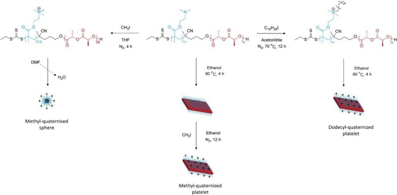 细菌进化后的抗生素,细菌进化变异