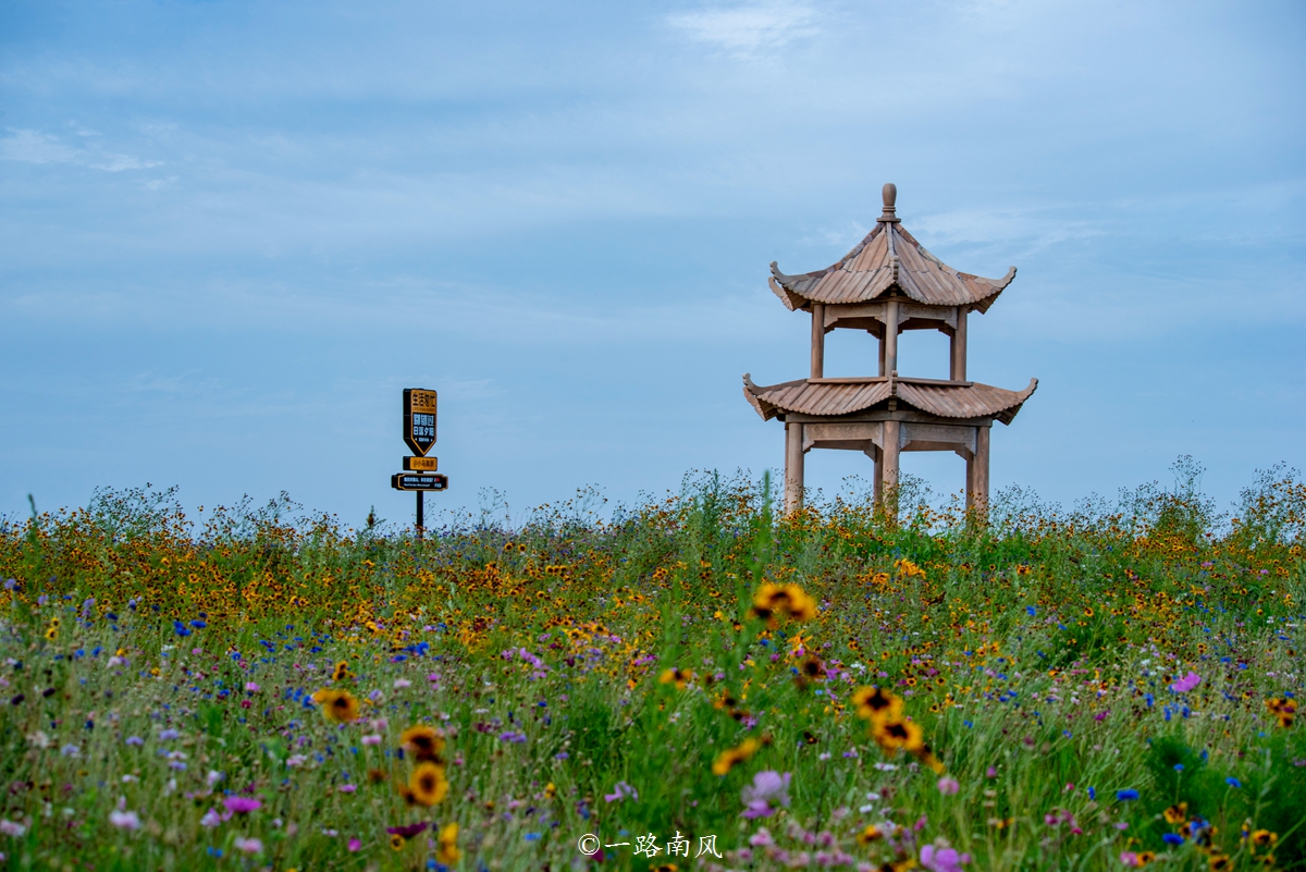 河南特别大的草原,美丽的河南大草原