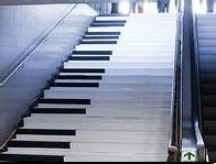 SEO基础学习大全