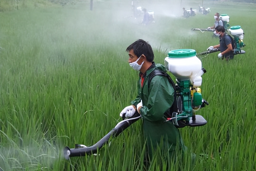 植保黑科技助力绿色农业,栽培技术植保技术决定农产品质量