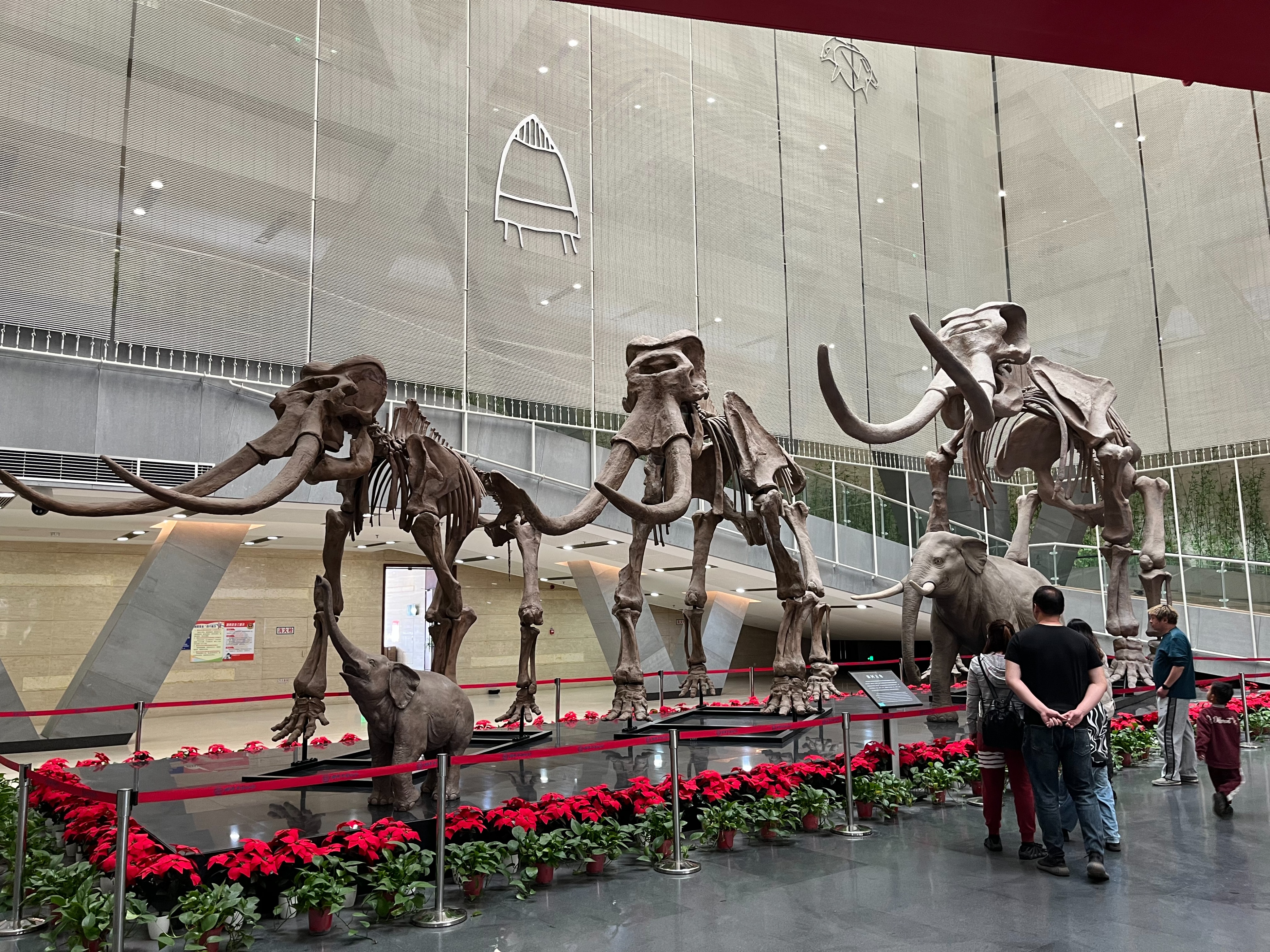 蚌埠为什么突然火了,蚌埠为什么突然火了图片