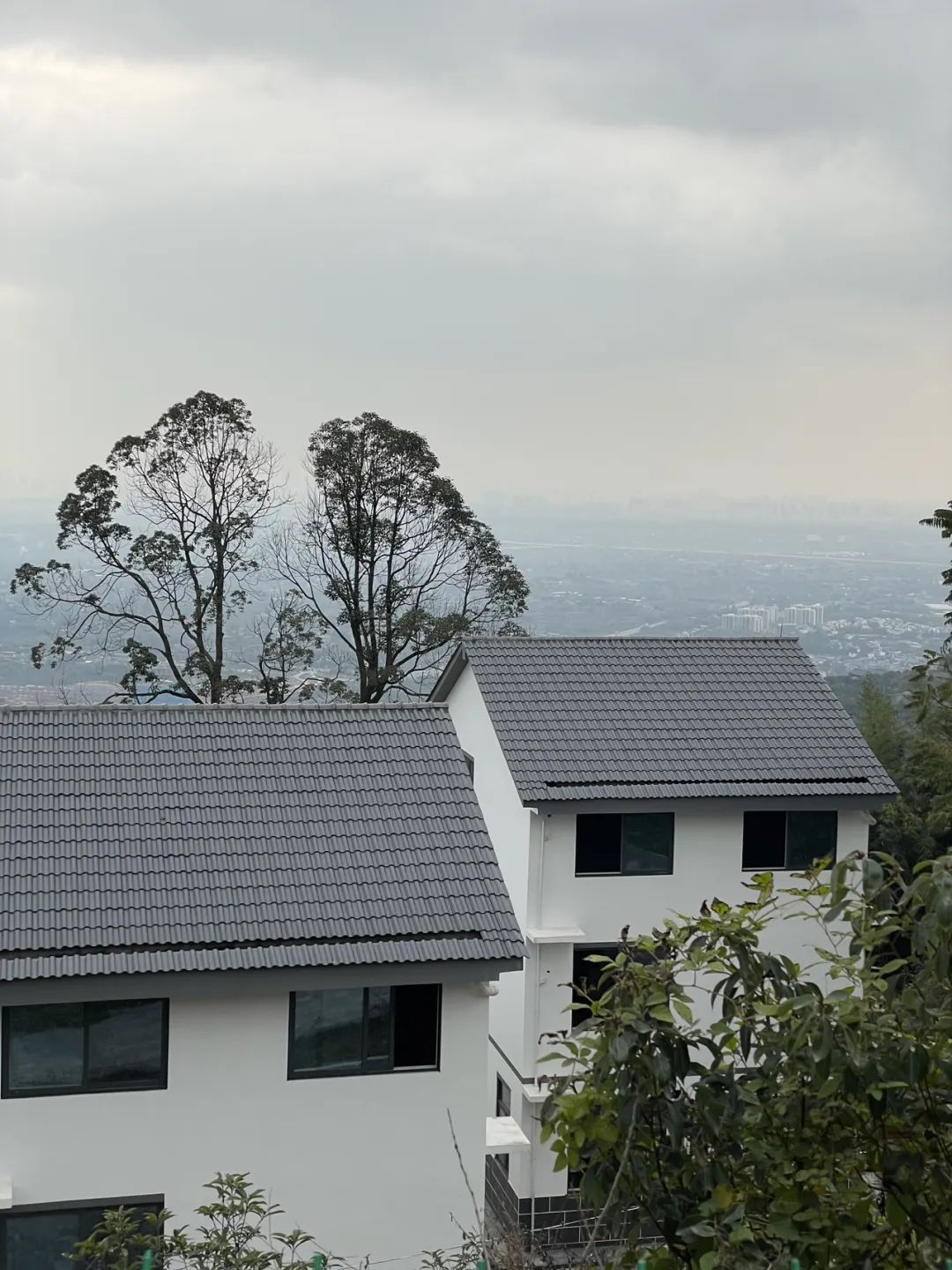 成都旅游豌豆尖,成都仰天窝近郊爬山推荐