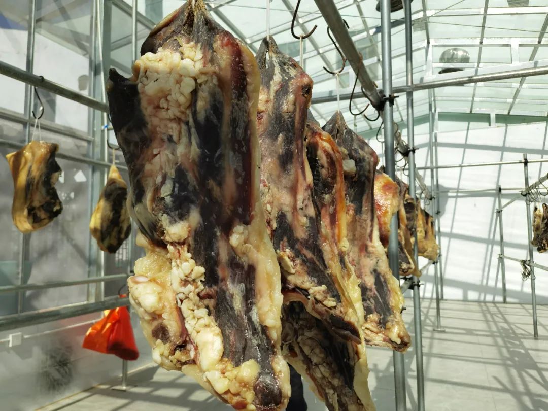 有一种叫云南的生活感动世界,有一种叫云南的生活从不缺浪漫