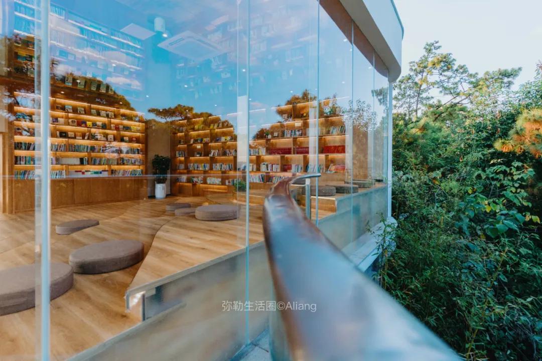 神仙树图书馆,神仙图书馆图片