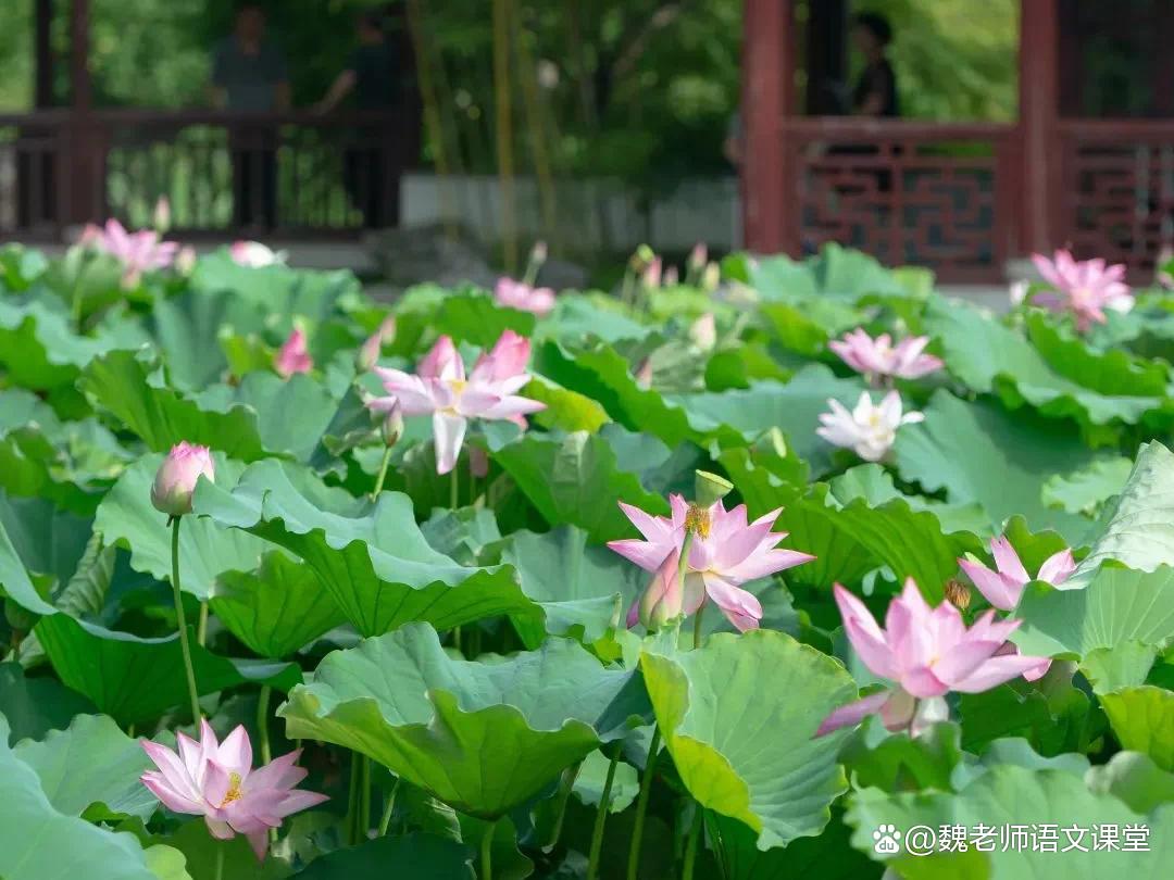三下语文园地四日积月累,三下语文园地二教材分析