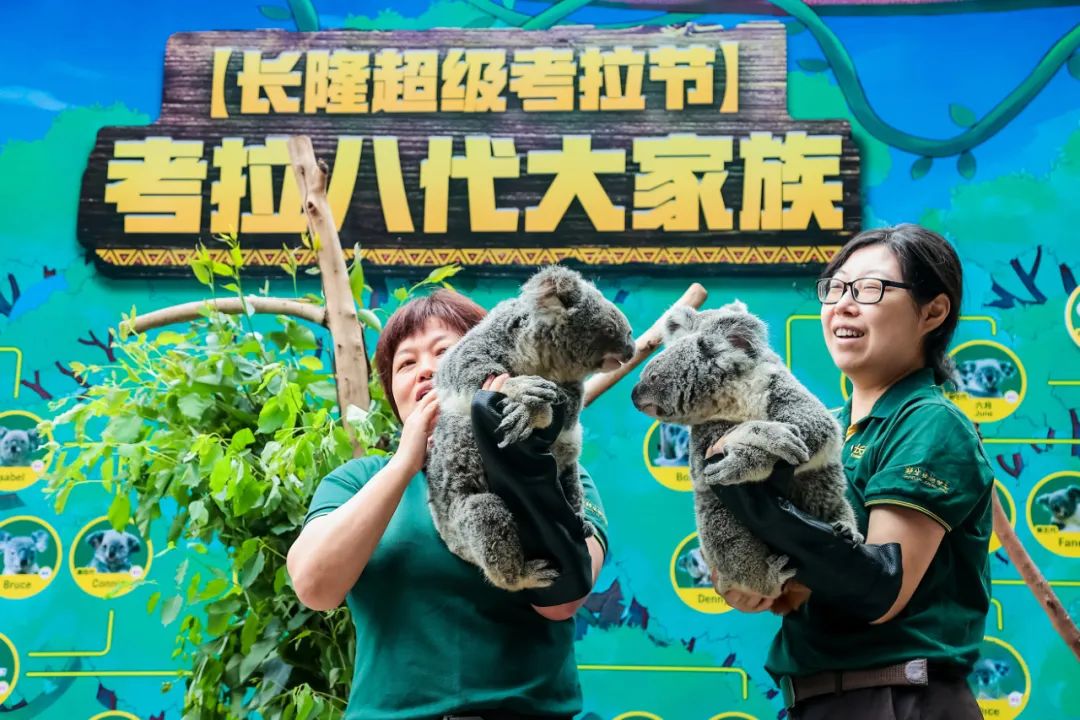 歌莉娅品牌的设计理念,歌莉娅品牌文化与浪漫情怀