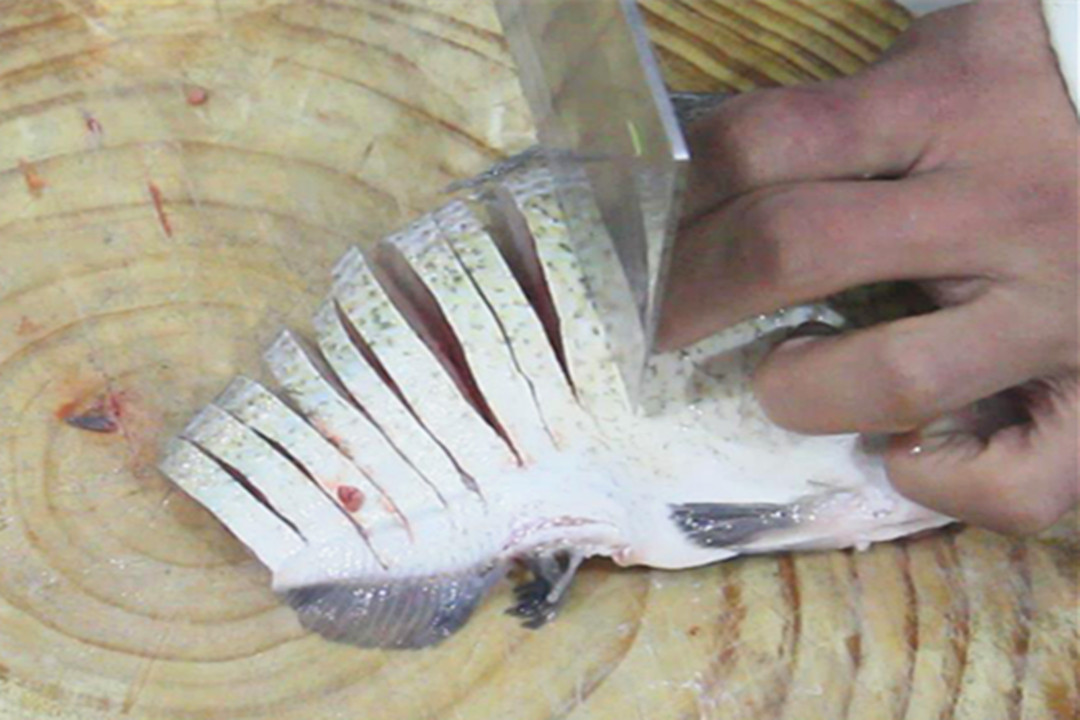 立秋前后建议大家多吃这5种食物,立秋后常吃这七种水果好