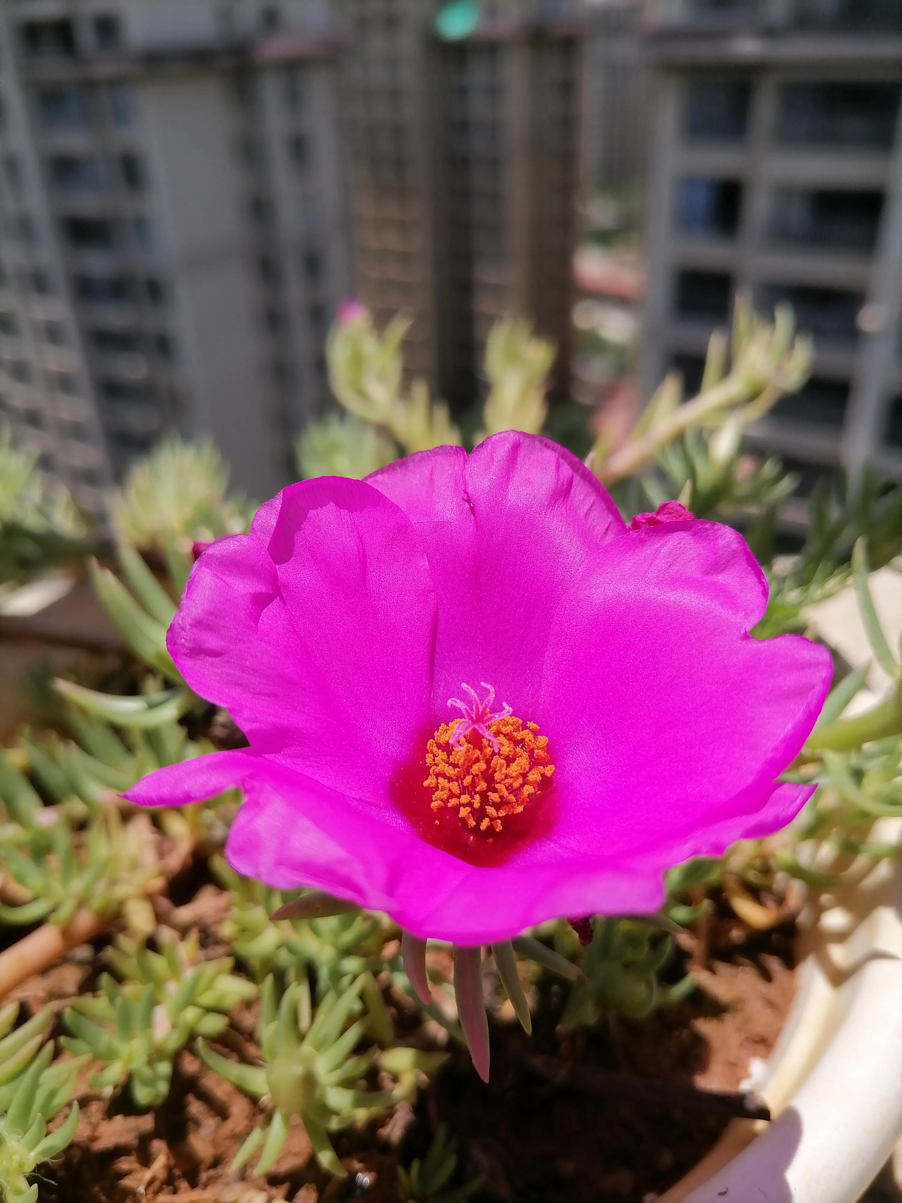 装修公司哪家好,装修