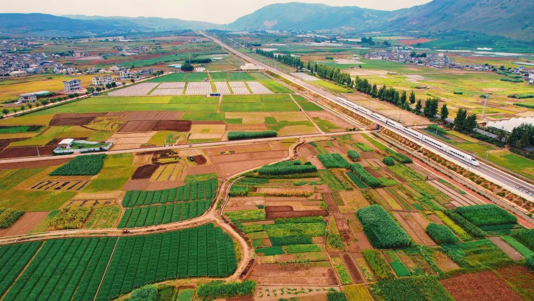 甩米线云南,云南甩米线的快乐