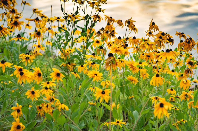 尿失禁缩肛运动,尿失禁缩肛运动怎么做