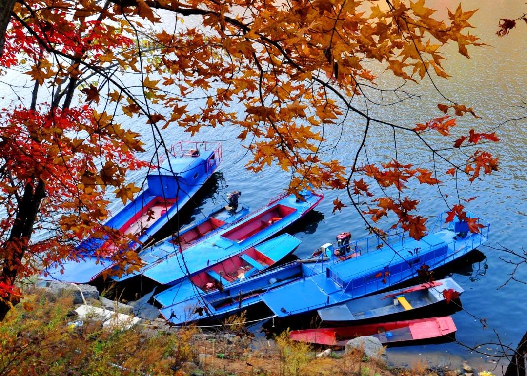 吉林秋景图,吉林秋景美图片
