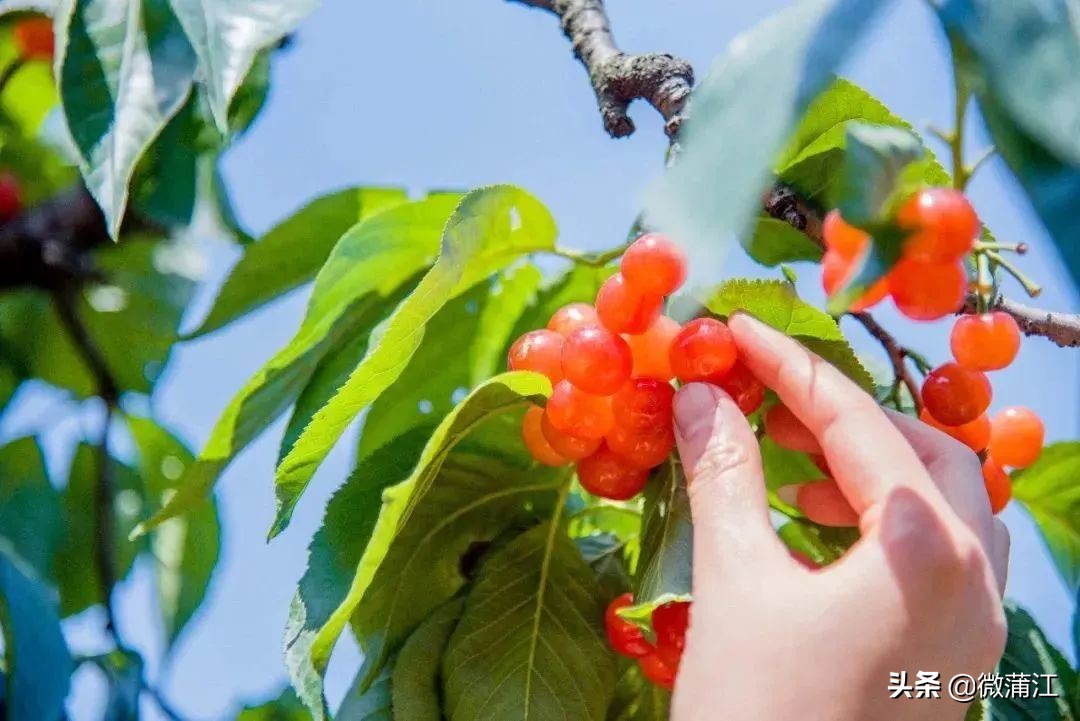 爱摄影的你,爱拍照的你记录生活每一天