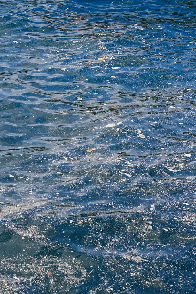 这个“垃圾大国”，真是让我开眼了