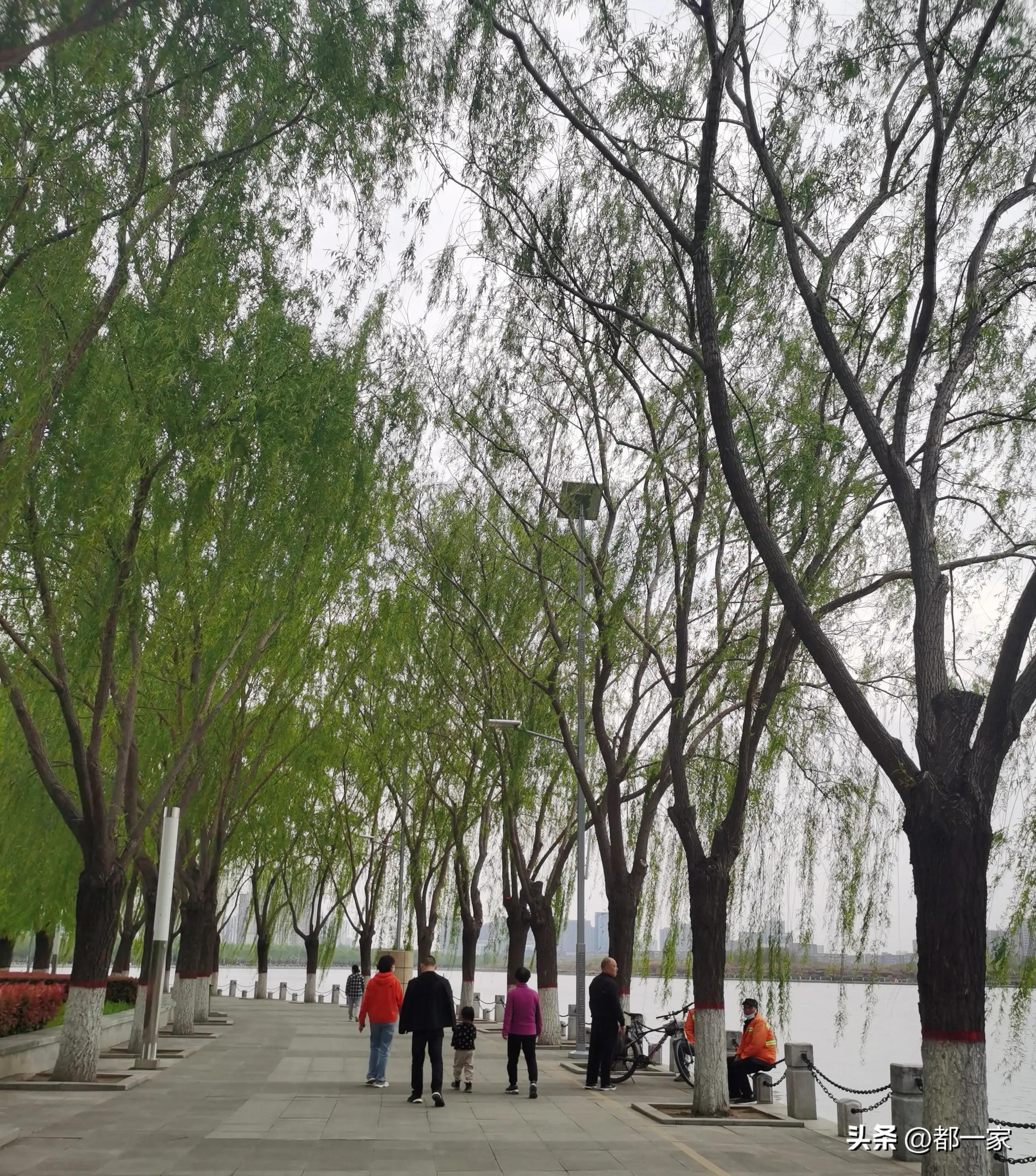 郑州须水河湿地公园,郑州索河湿地公园网红打卡地