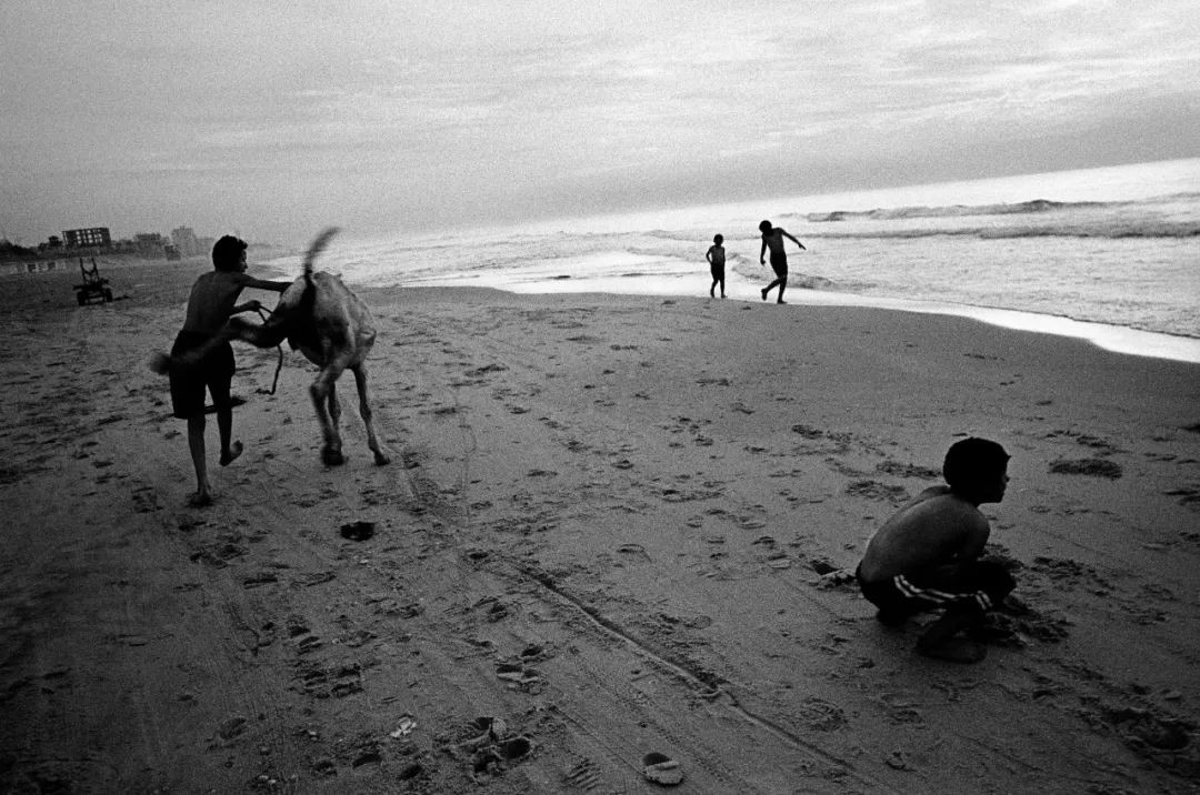 火花思维高磊,励志青年高磊