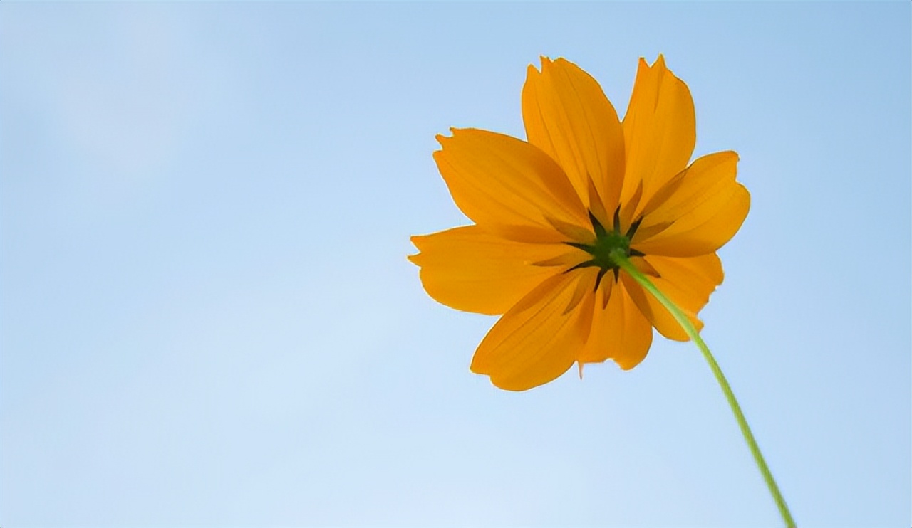 情人相处如何才能长久,情人相处怎么样才不累