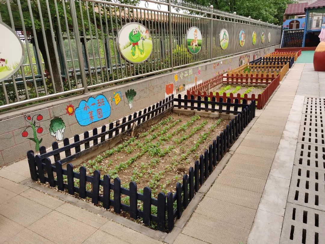 党建强基础促发展,党建引领业务助推教师专业成长