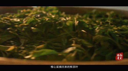 原祖山茶叶怎么样?原祖山茶叶属于什么档次?