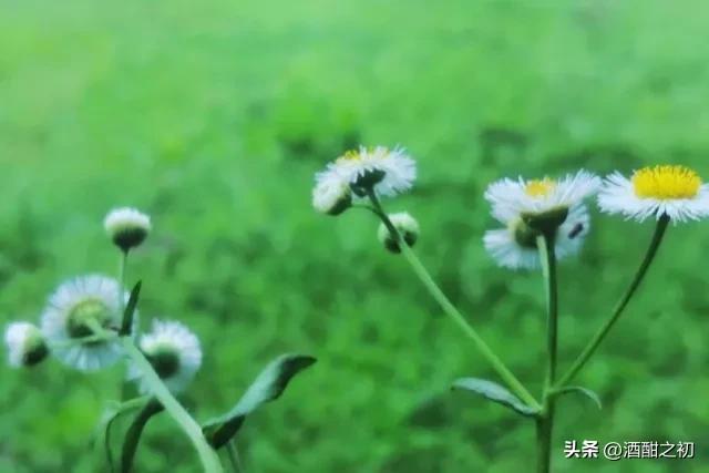 乡土小说：男欢女爱（十一）