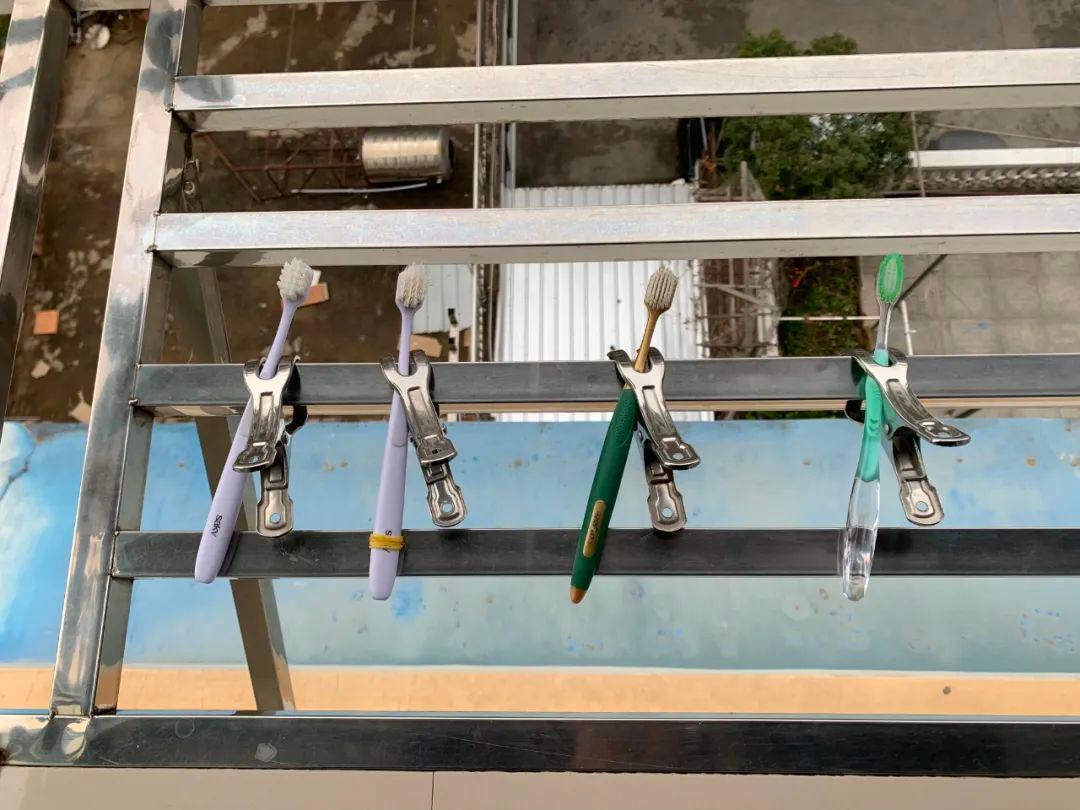 奥密克戎到达南极,奥密克戎在零下18度存活