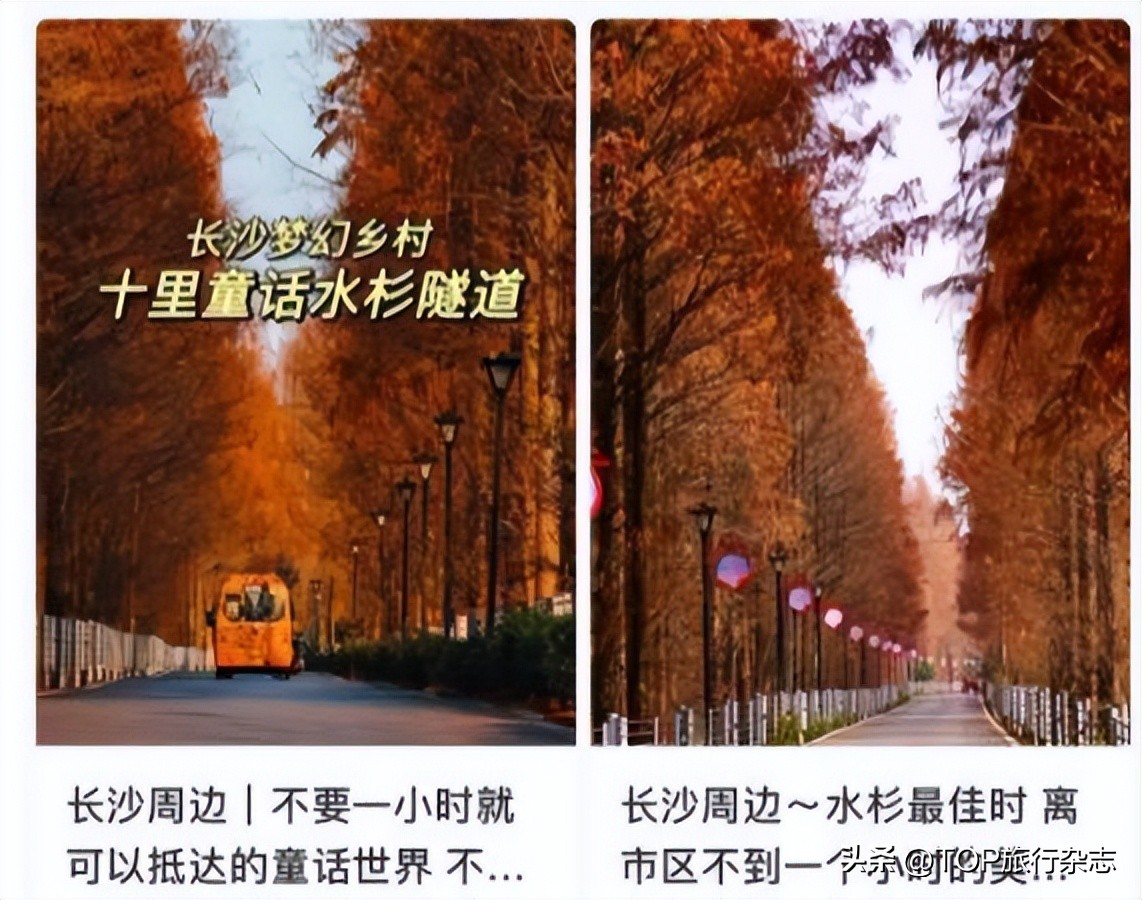 长沙遛娃游玩,长沙遛娃月亮岛