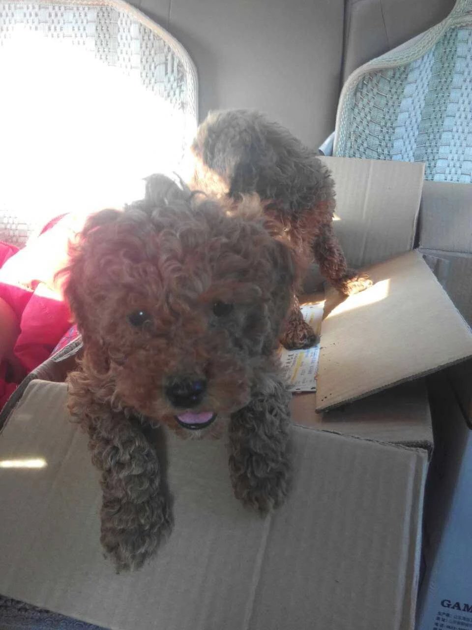 赣州周末出游攻略,春节赣州出发2-3天短途旅游