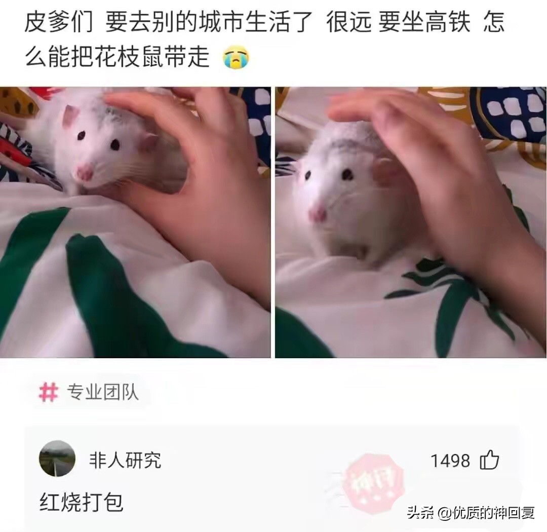 头发洗了一天就很油很痒怎么回事,头发天天洗还是痒得厉害怎么回事