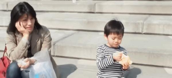 喂过一次大连海鸥，人类就要为自己的弱小羞愧