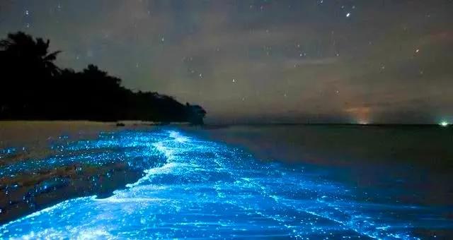 你不知道的国家冷知识牙买加,你不知道的冷知识牙买加