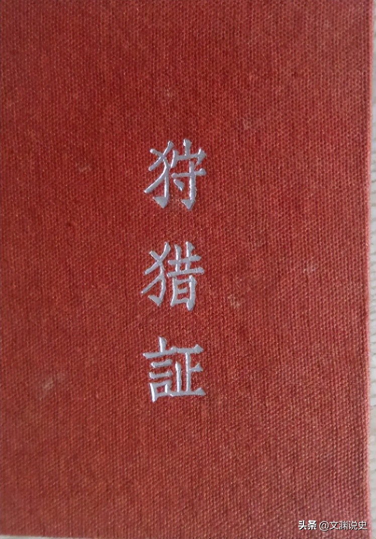 广东老太在山上抱回一只野猫,广东老太捡到一只猫仔