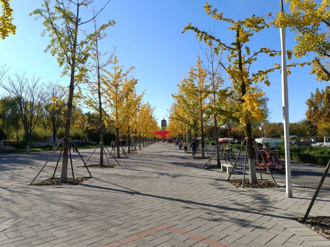 redminote11拍照效果,2亿级普通像素与5000万相机