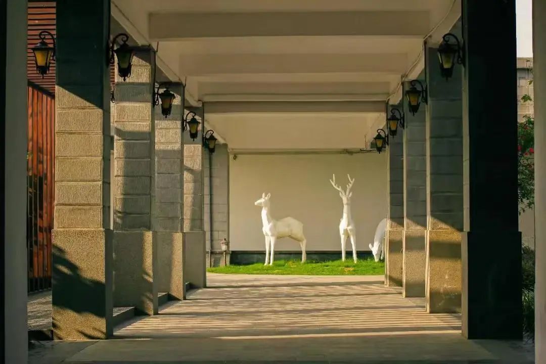 成都市金牛区协同外语学校,成都金牛区协同外国语学校初中招生